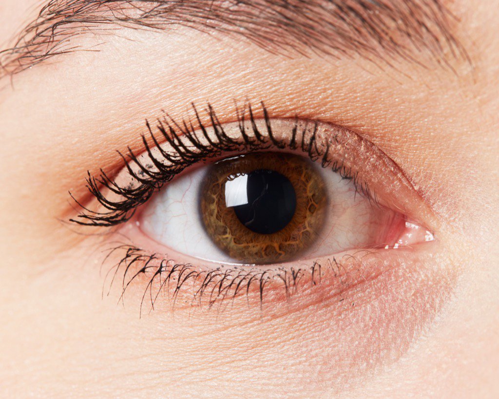 meganthorplevit's tweet image. hey there pretty brown eyes 👁 #visualproject