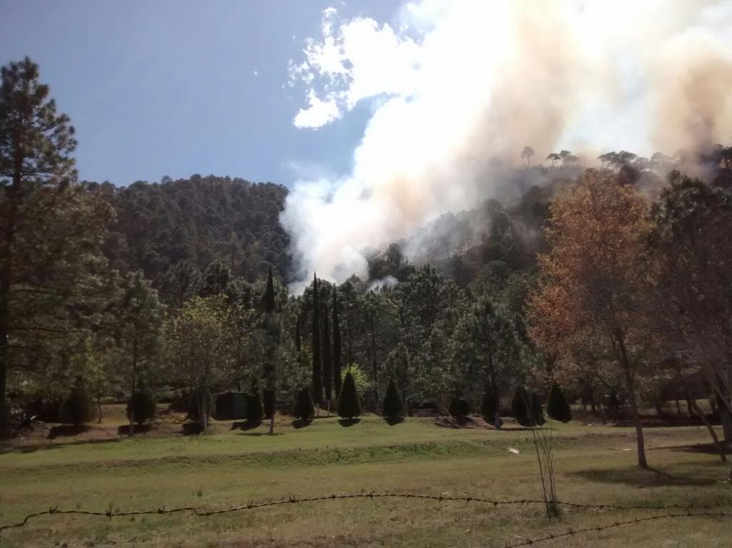 Fuego consume más de 60 hectáreas en bosque de Nuevo León - CeRWFE7UIAEmPXD