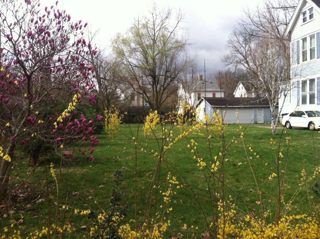 Cincy_Victorian's tweet photo. Lots more showings tomorrow!
The grass may be long to show how easy it will be for the Easter Bunny to hide eggs! :) https://t.co/Qd42W71mZD