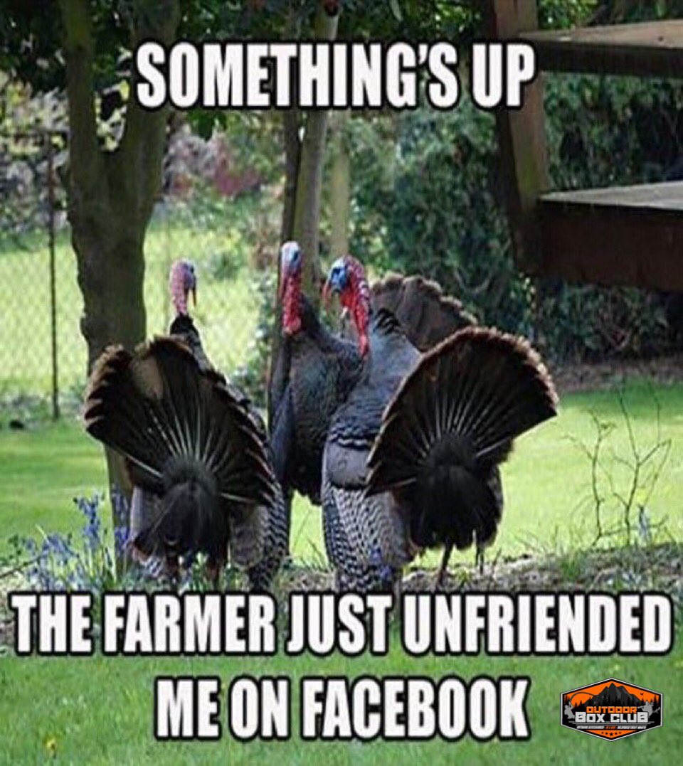 OutdoorBoxClub's tweet photo. Make sure your next turkey hunt is successful with https://t.co/npYOabm5VJ #turkeytime #turkeyhunt  #getyourstoday https://t.co/QOjBns6yq3
