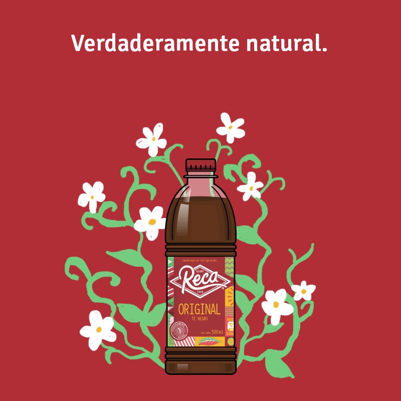 Te_Reca's tweet photo. #TeReca es elaborado con hojas selectas de primera para una experiencia de sabor herbal placentera y excepcional. 🍃✨ https://t.co/zrGUqI1jZ0