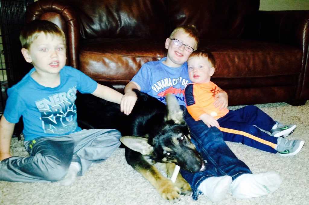 AliciaRoseH's tweet photo. We love our puppy! #GeneralJack #NationalPuppyDay @Anthony88Hodges https://t.co/bsLZeQs3IT