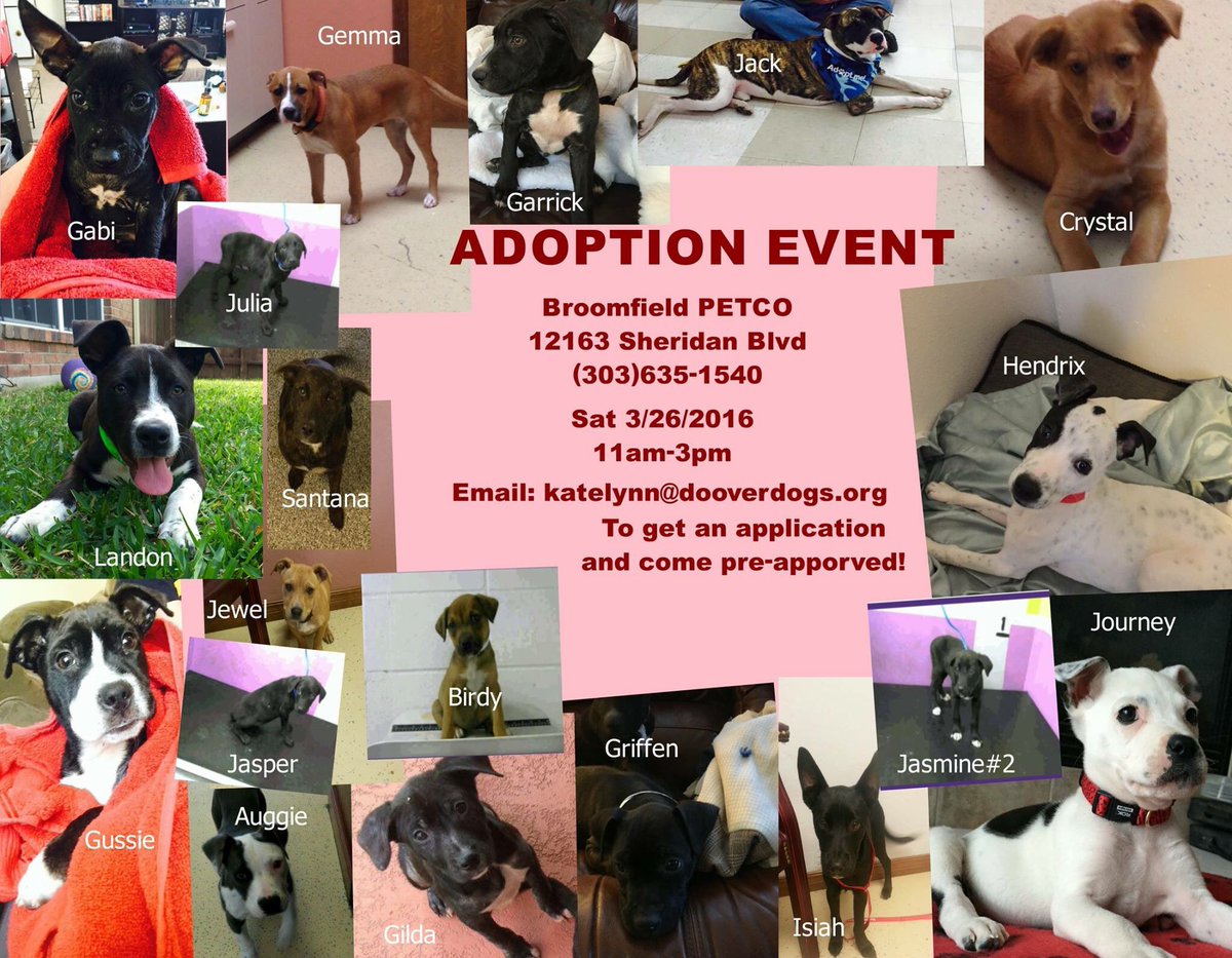 DoOverDogs's tweet photo. Adoption event 3/26 Broomfield CO #NationalPuppy #AdoptDontShop #bestfriends #Rescue #puppylove https://t.co/Ocs8YZHWd3