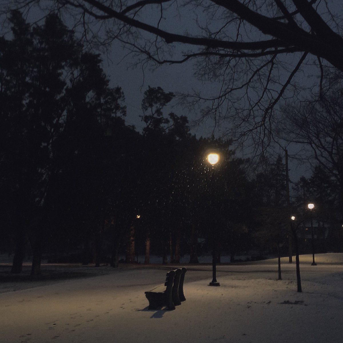 Took the dogs to Gage Park for maybe (?!) the last snowfall of the year. Oh my, it was beautiful.  #HamOnt #peaceful