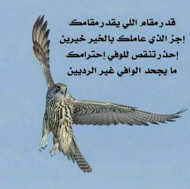 FFmhog tweet picture
