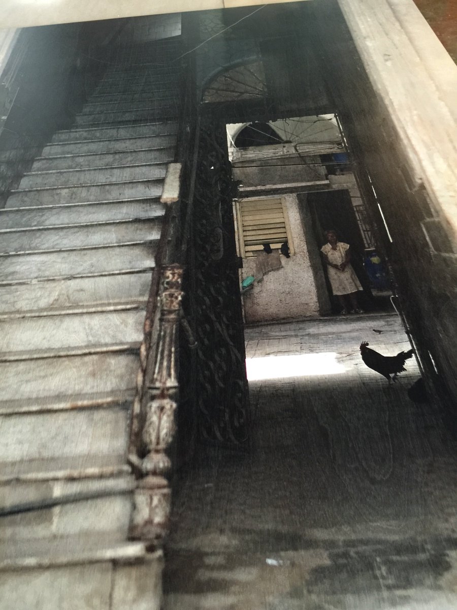 #Cuba tribute-From our travels to #Havana. We affectionately call this 'Abuela w/ Chicken'. On birch. #hpmkt #design