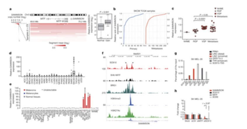 Maverix Biomics tweet media