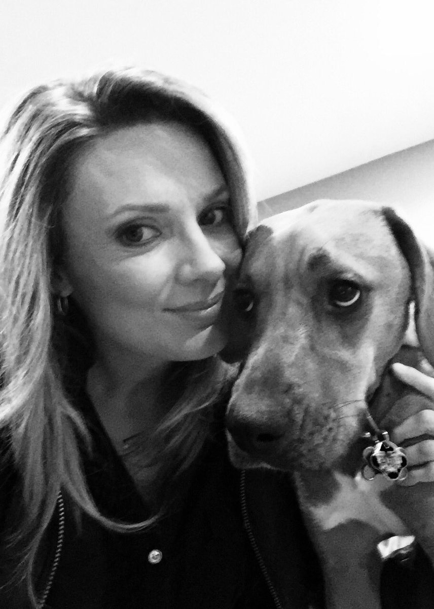 StaceyDales's tweet photo. Happy #NationalPuppyDay! Giving thanks for my #RhodesianRescue #RubyBear โค๏ธ https://t.co/RQJeCyta1a