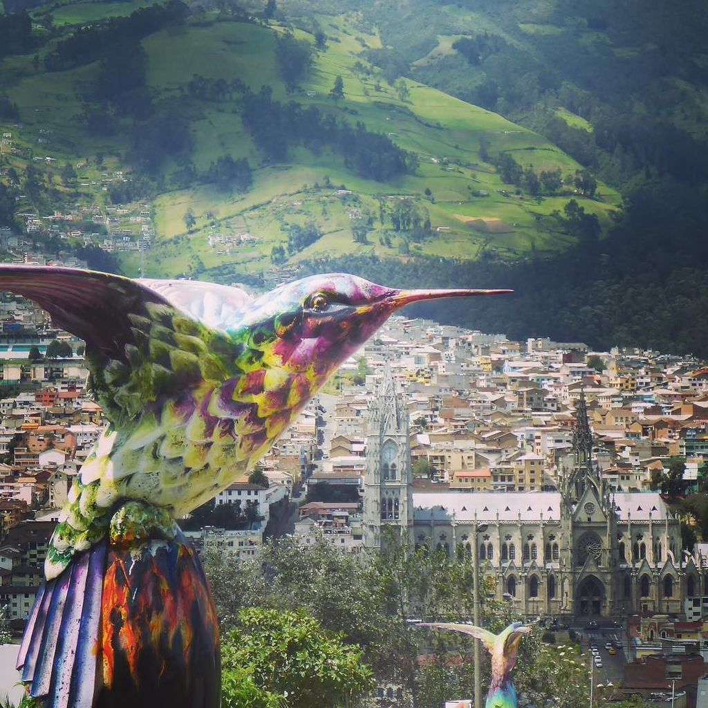 SIDDHANTTIWARI's tweet photo. Beautiful view over Quito 🐤
#Quito #ecuador #travel #backpacking #instagood #instatravel #sabackpacker #passionpas… https://t.co/xg9sx7kgcP