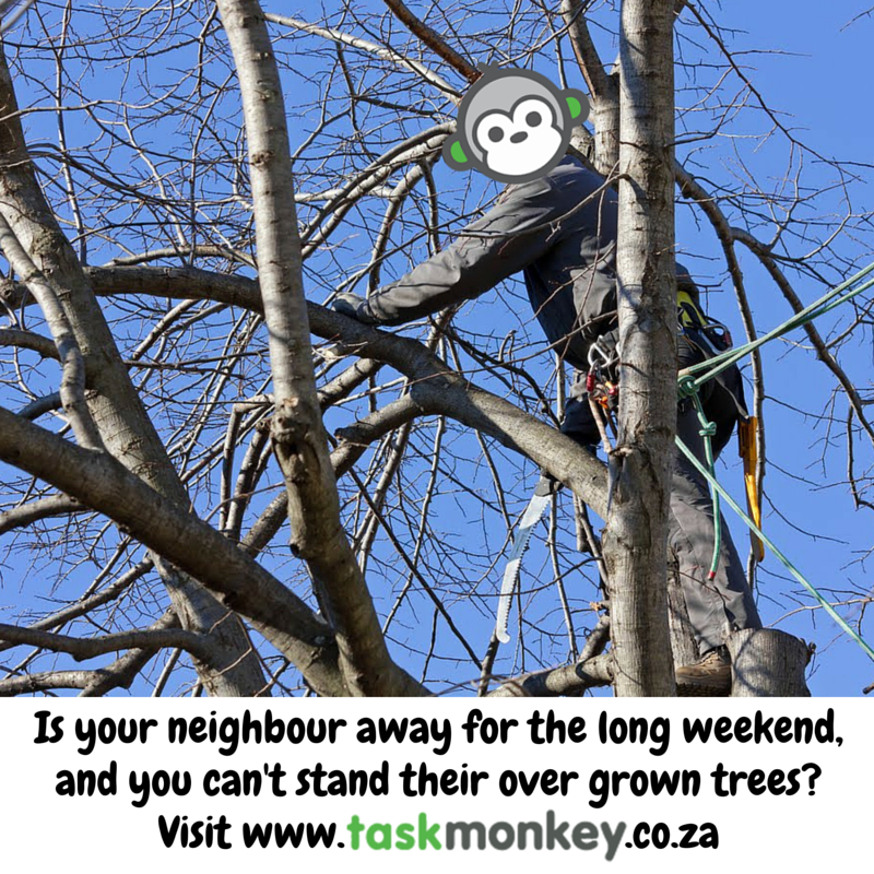 TaskMonkeyZA's tweet photo. Plan to trim your neighbours over grown trees while they're away for the long weekend? Get a #TaskMonkey to help. https://t.co/ljdQTDjOrc