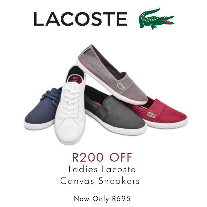 spitz ladies lacoste