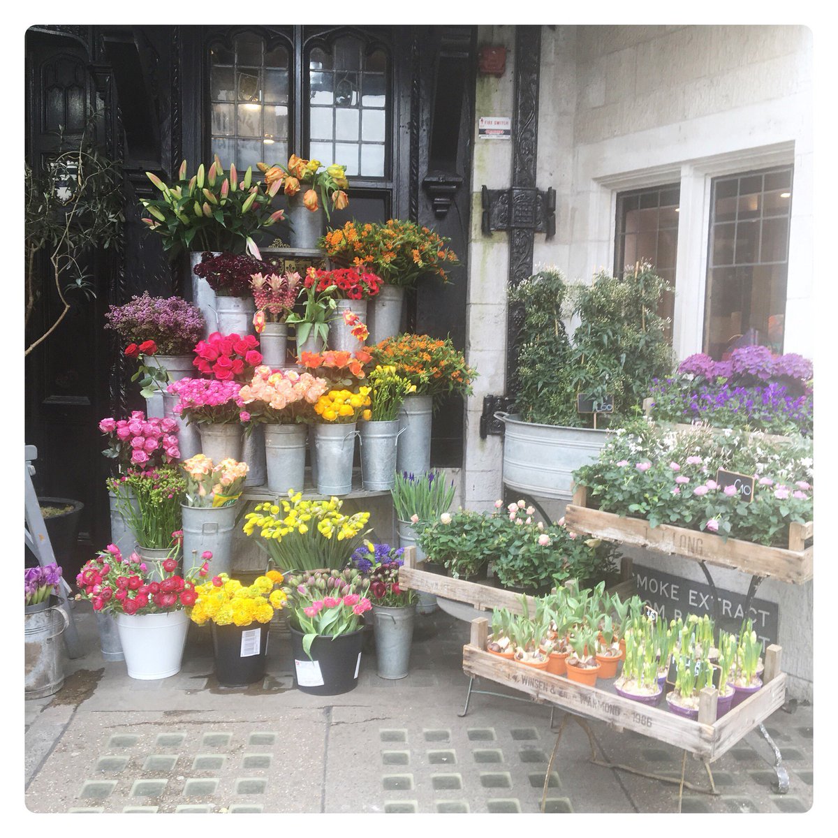 madeleine_shaw_'s tweet photo. I ❤️ SPRING! What’s your favourite thing about Spring? Mine is having longer days 😊 #madeleineshaw https://t.co/YY6n05vC4o