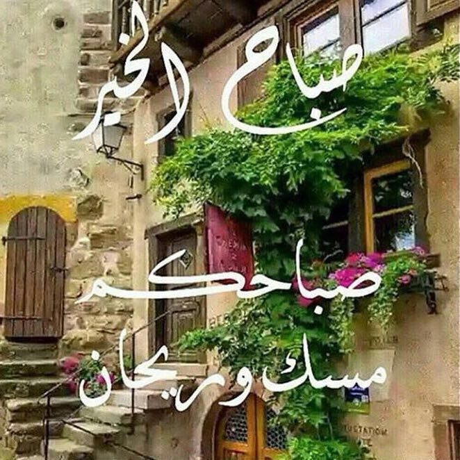 saifeysaa's tweet photo. صباح الورد https://t.co/oD2a2Gl0j1