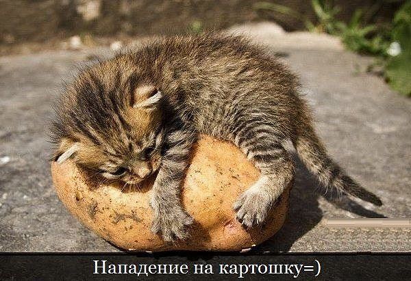 <a href="/5007003/">Елена</a> Кушать варю, в дорогу собираюсь))<a href="/MUR5879/">В,С,Ч, М .</a> @rvh111xx <a href="/reka714/">Виктор Девятериков</a> <a href="/nalbakrinoff/">Наталья Альбакринова</a> <a href="/miki__ceo/">Никита Арсеньев</a>