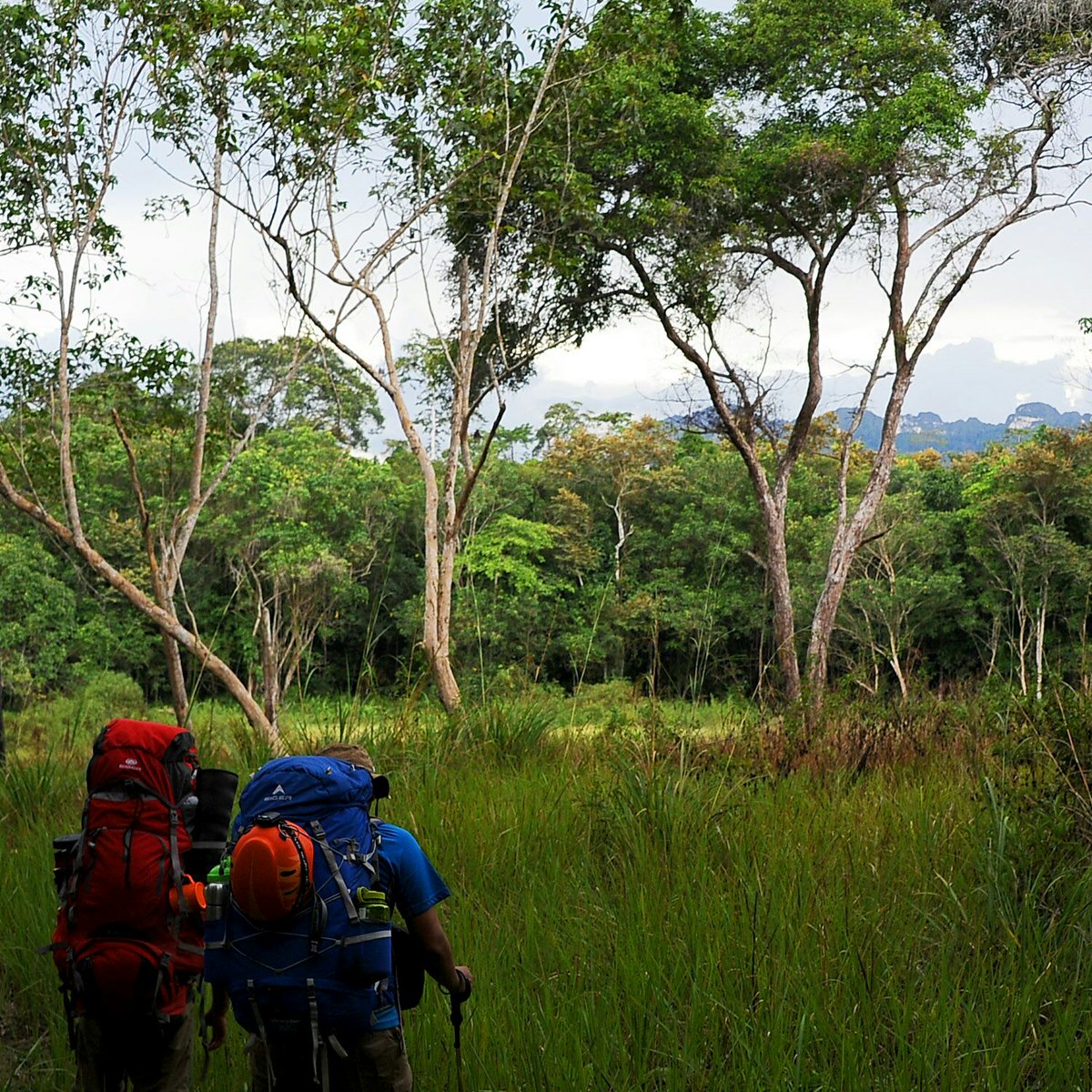 eigeradventure's tweet photo. Ketika yang lain melihat hambatan, pastikan kita tetap memegang harapan. Selamat pagi Eigerian.. https://t.co/83RD9zvUSC