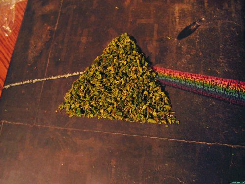 BuzzedWeed tweet picture