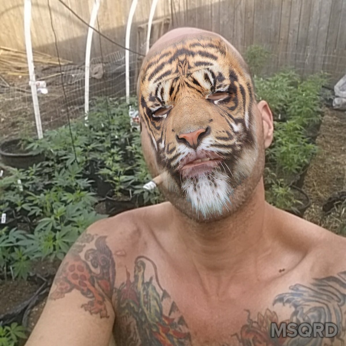 GoodHerbPodcast's tweet photo. #Cherrycheeks707.com with Nattie Mc Tiger prepping for reset https://t.co/FCaH7FrkYW