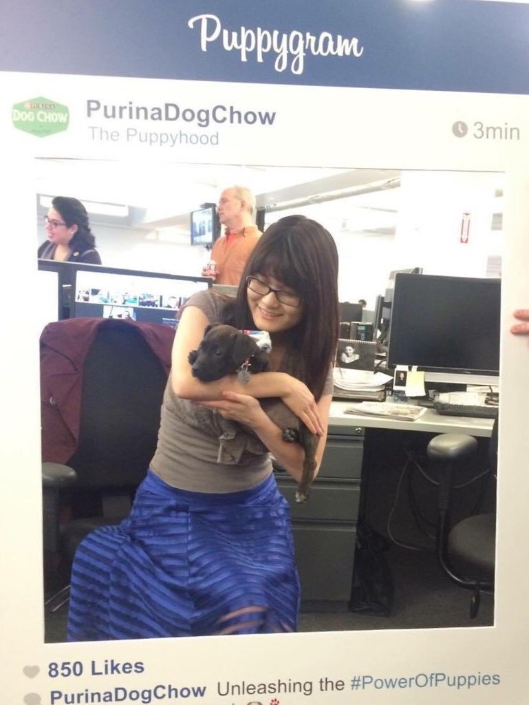 MrBetterCredit's tweet photo. https://t.co/3bOGPTW3Wn
The #powerofpuppies is the best #officetherapy! #GetYourRescueOn https://t.co/KmHtxe422zโฆ https://t.co/skVis9pC50