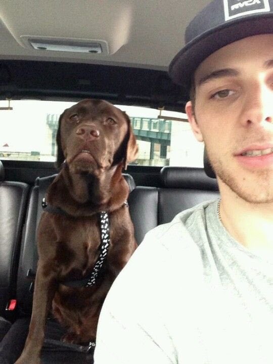 SeguinProblems's tweet photo. #seguinpictureoftheday because it's #NationalPuppyDay https://t.co/3SgxnrxdPv