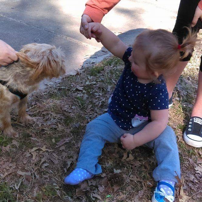 pl2k14's tweet photo. She had to see the puppy #animallover #❤ #✔ https://t.co/KspVPCuGLf