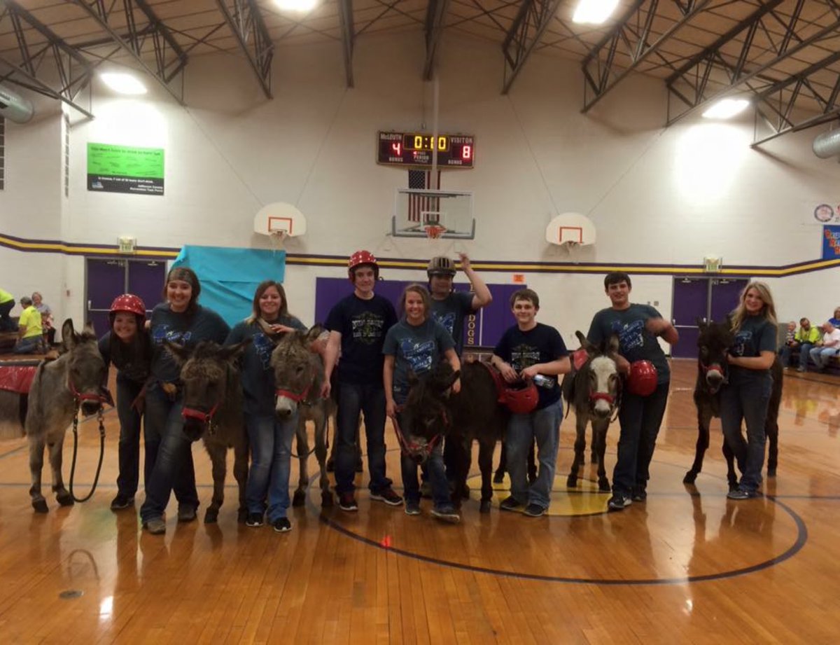 tongieFFA's tweet photo. Thanks to everyone who came out and watched donkey basketball tonight!    🐴🏀 https://t.co/ysjxTSLpPs