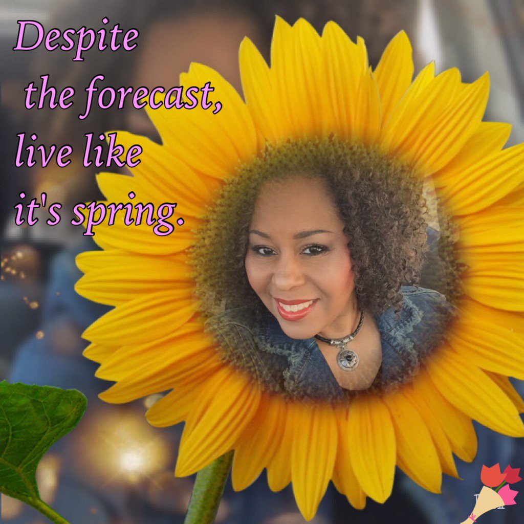 Nicole Webb (@elocin66) on Twitter photo 