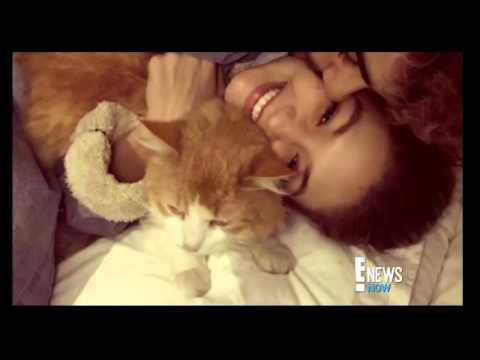 fashionvictimy's tweet photo. Gigi Hadid and Zayn Malik Cuddle With Kitty - https://t.co/AIrnAEV2O5 https://t.co/CLj57TSIZl