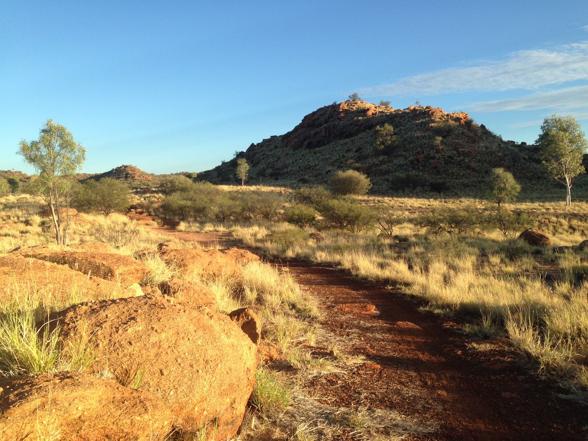 mallbeury's tweet photo. Sun up is the only time to run in the desert, before it hits 36 degrees! @6amCLUB #trailburning https://t.co/e3In4bK3v3