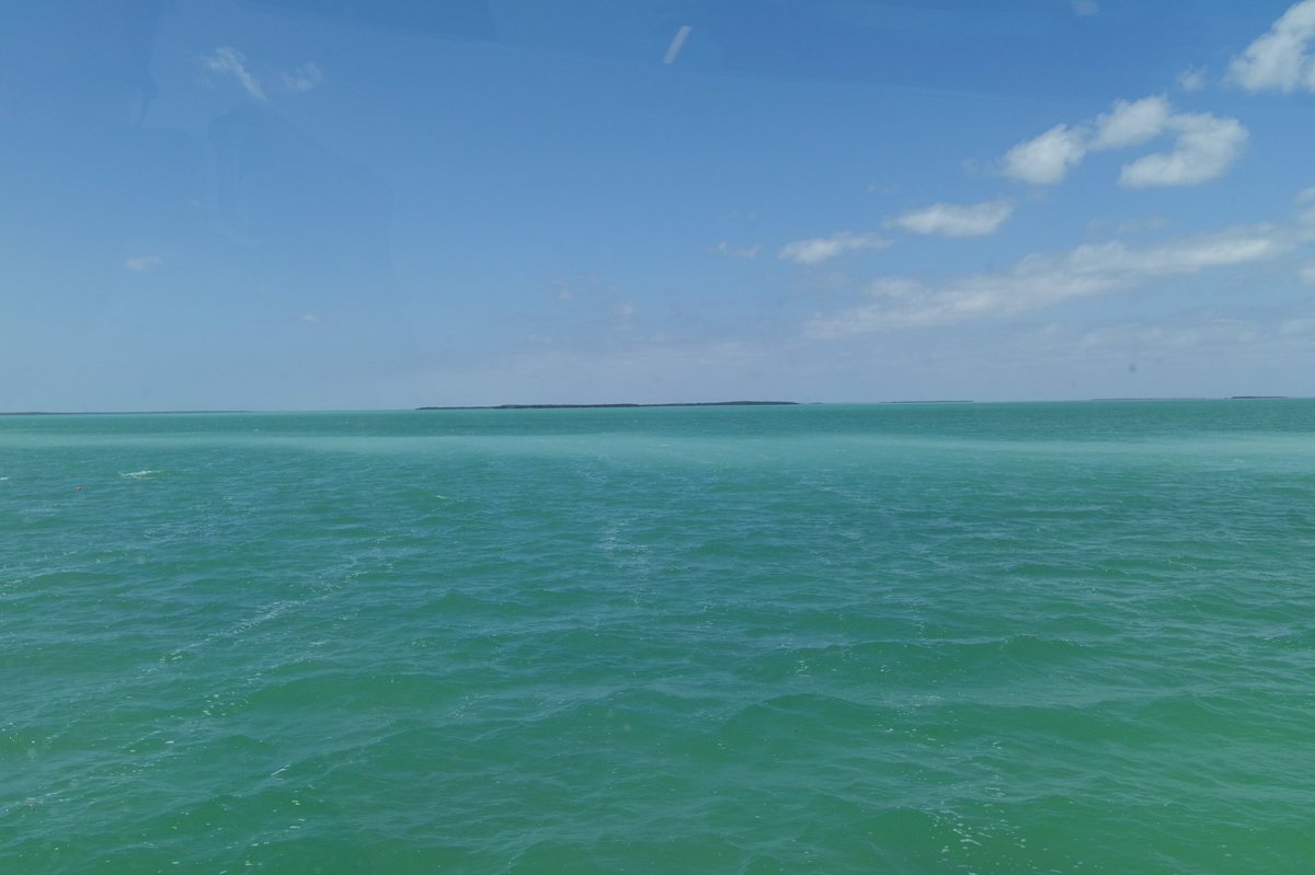 JParkerStout's tweet photo. Absolutely loving the clear, warm, water over here in the #Keys ! Truly grateful! #Spring2k15 https://t.co/hnWtZz23oq