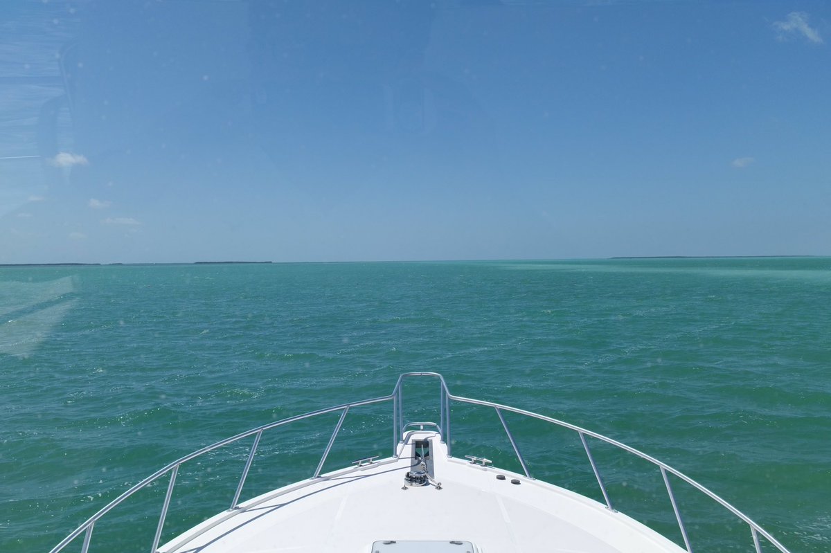 JParkerStout's tweet photo. Absolutely loving the clear, warm, water over here in the #Keys ! Truly grateful! #Spring2k15 https://t.co/hnWtZz23oq