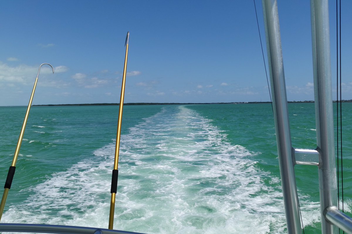 JParkerStout's tweet photo. Absolutely loving the clear, warm, water over here in the #Keys ! Truly grateful! #Spring2k15 https://t.co/hnWtZz23oq