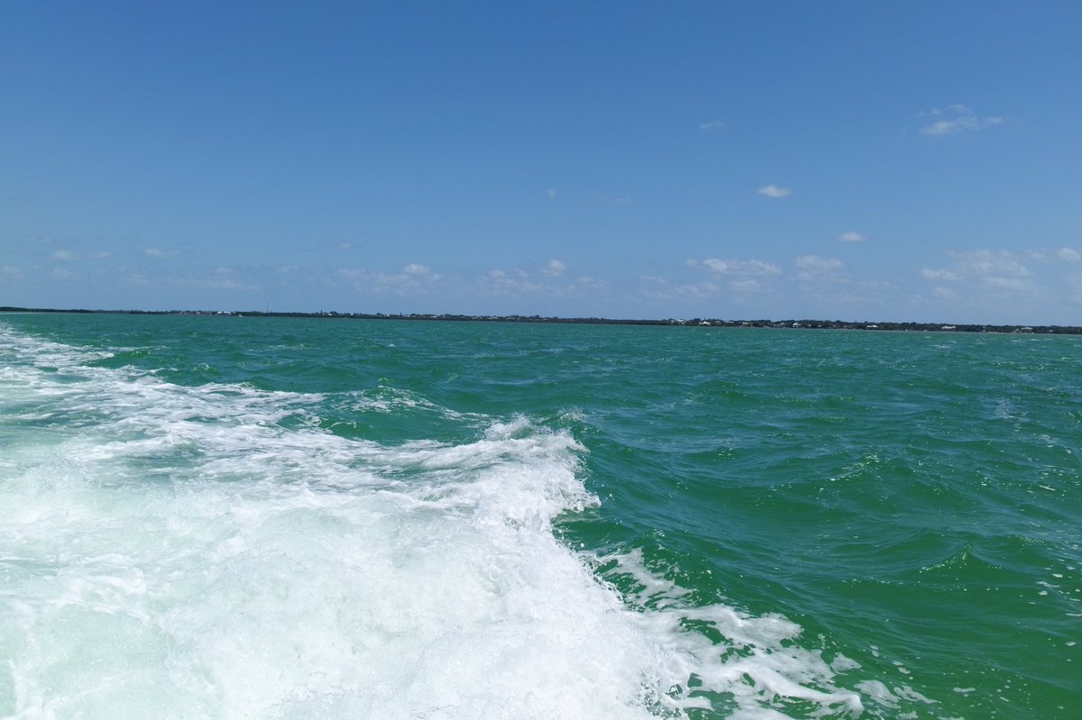 JParkerStout's tweet photo. Absolutely loving the clear, warm, water over here in the #Keys ! Truly grateful! #Spring2k15 https://t.co/hnWtZz23oq