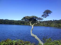 ra_hesss's tweet photo. Beutifull loch.. you want stand here.. come on, follow me.. https://t.co/XMNuR0Tk8w