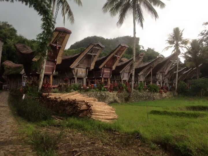 jhoem_jayadi's tweet photo. Visit Tanah Toraja#shouth celebes#indonesia
#rumah tongkonan https://t.co/h0GyVPanT0