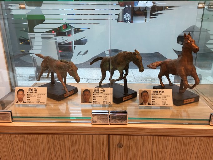 人気の新作 大阪杯 キタサンブラック メモリアルレースカード レギュラーカード Coplawfirm Com 人気の新作 大阪杯 キタサンブラック メモリアルレースカード レギュラーカード Coplawfirm Com