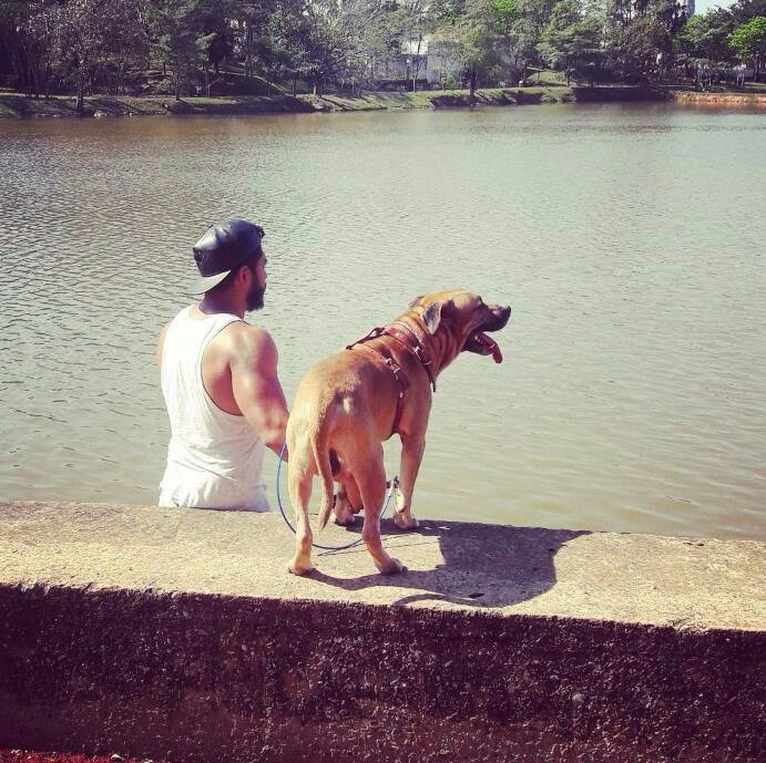 HaskellSashell's tweet photo. No existen perros malos,  solo malos dueños :) https://t.co/uGhiqC1WbX