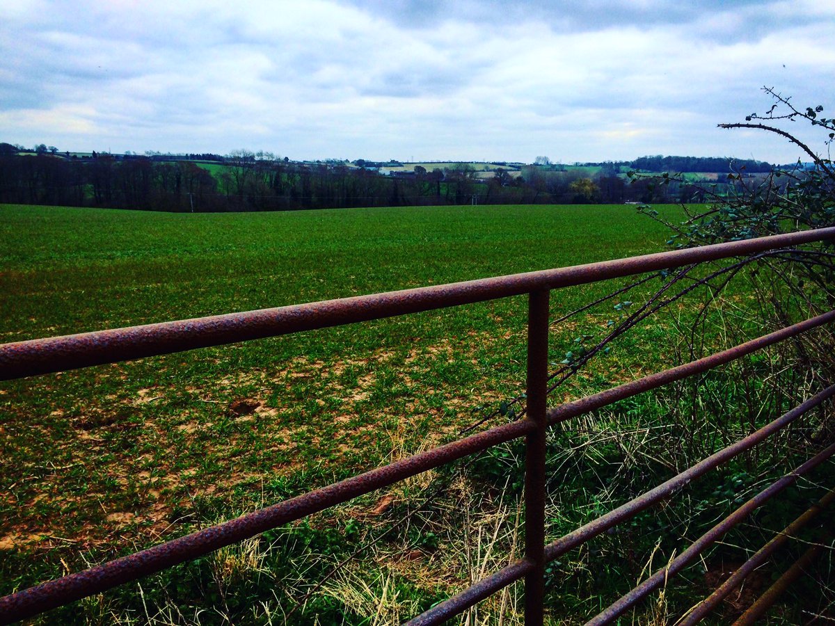 Official_Jade08's tweet photo. Morning from South Wales #wales #spring #clouds https://t.co/p4vSUh0Vem