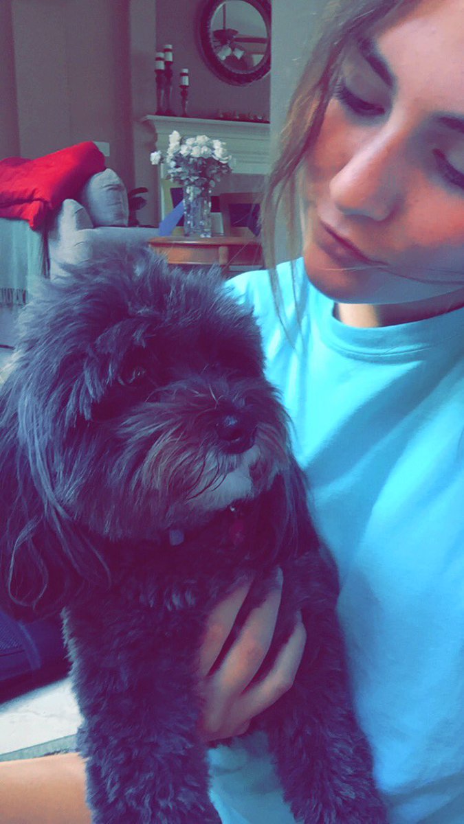 audreysweenz's tweet photo. I love my dog so much p.s. make her the new meme 2k16 #NationalPuppyDay #MiaAf https://t.co/2JFbjPdn7H