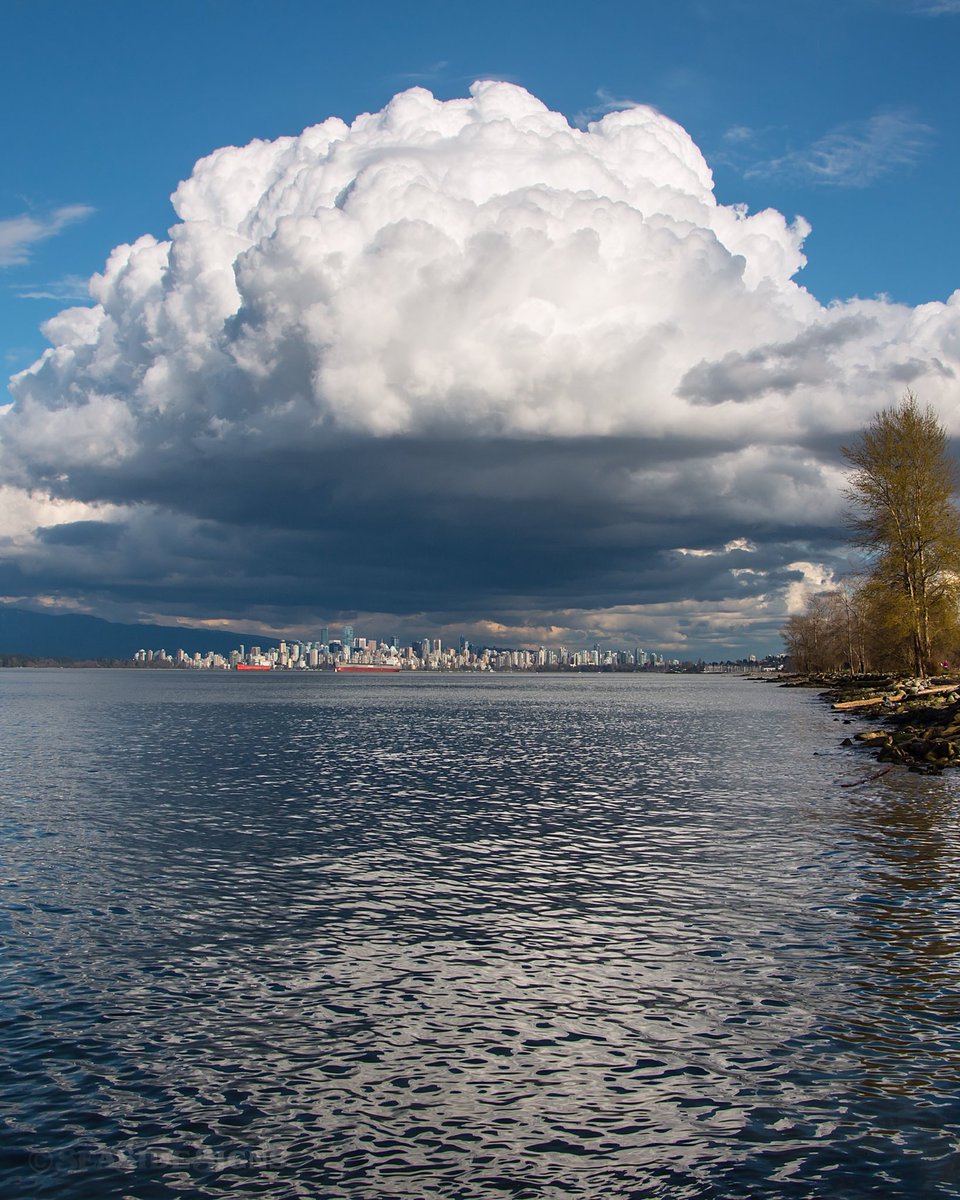 Cloudcouver ☁️ #Vancouver #EnglishBay #VeryVancouver #Clouds ☁️ #VancouverPhotos Full Size👉🏼 facebook.com/SeaSideSigns/p…