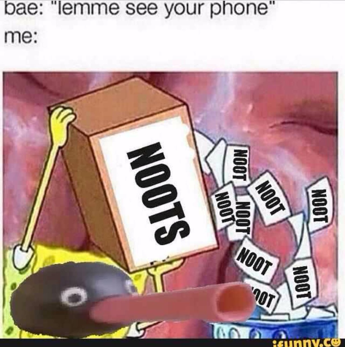 #noot #noots