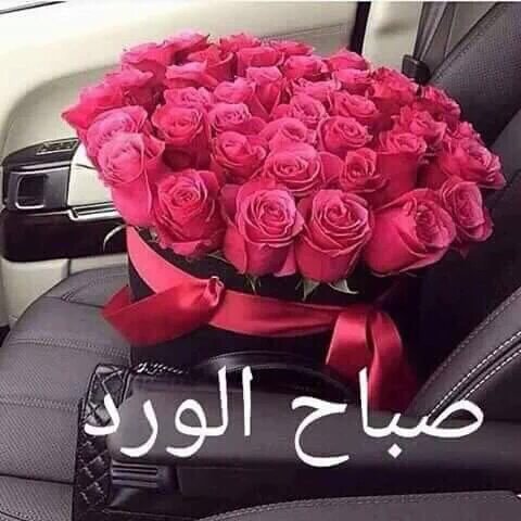 NeamaSoso's tweet photo. يسعد صباحكم أحبتي
صباحكم ورد#قيثارة-روح
انا آسفة ما بقدر اتواصل معكم في مشكلة
بالرسائل من أمس صباحكم حب💋 https://t.co/HkAHDib8SX