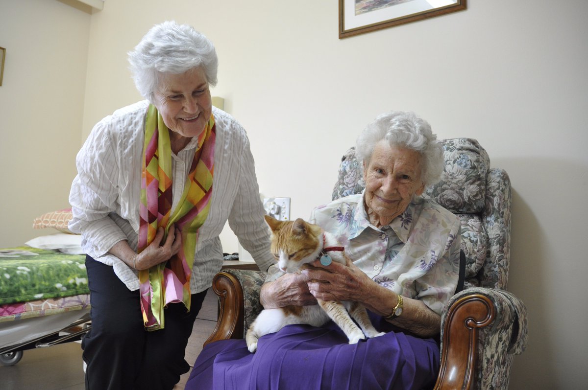 Shane Hendrickson tweet media