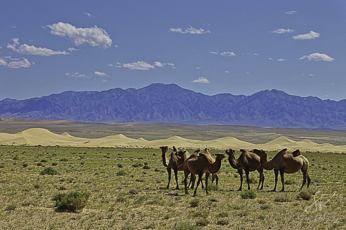 Baga bogdiin nuruu. 
Uvurkhangai aimag Baruunbayanulaan sum