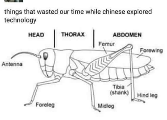We_Nigel's tweet photo. I'm yet to see where am I gonna use this in my life https://t.co/X5U8CytrA6