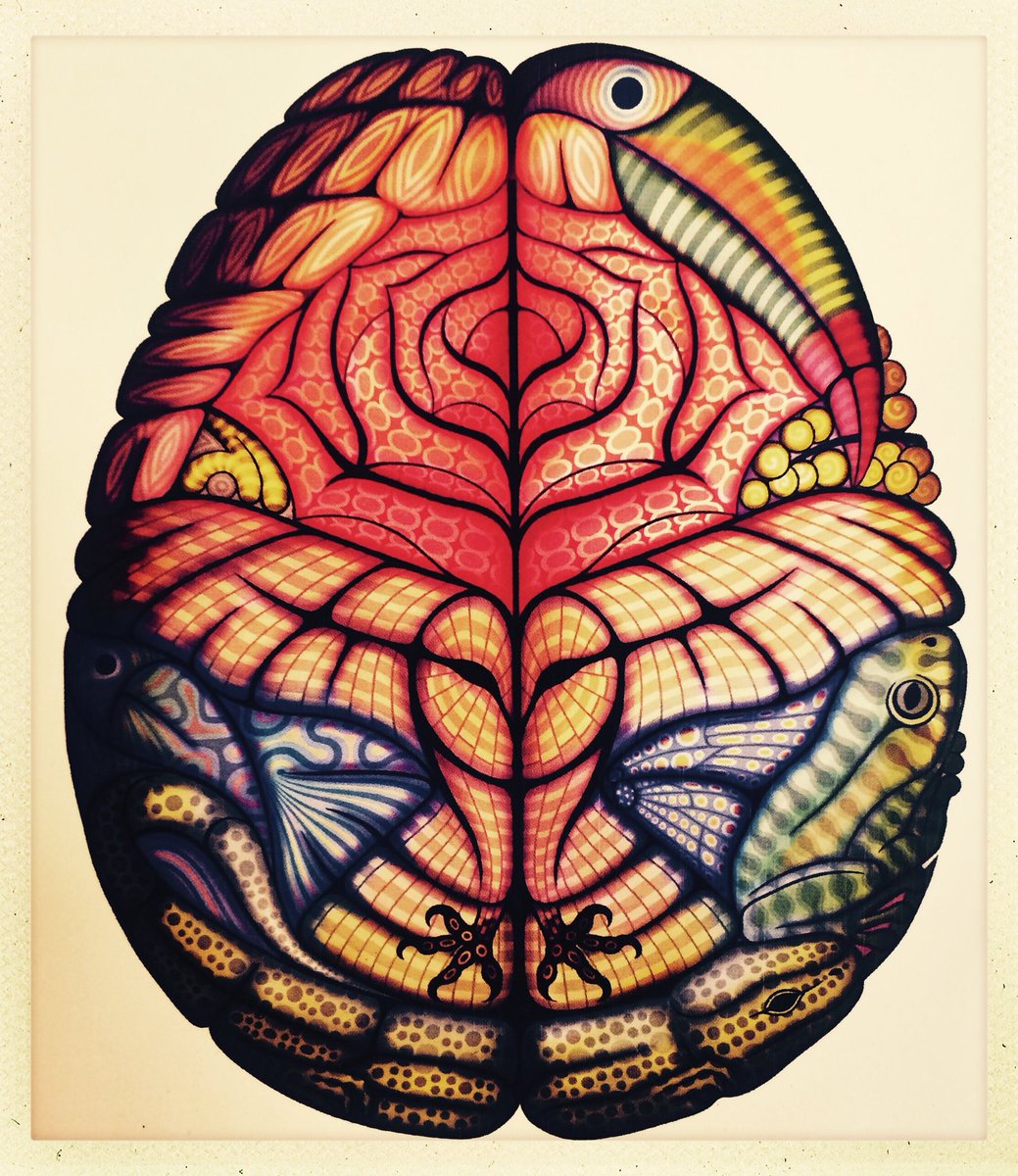 spiritfuneral's tweet photo. #IntelligentEvolution &amp; "How life's processes act like an all-knowing brain".. #NewScientist ..Excellent article.. https://t.co/uhwysJVh9L
