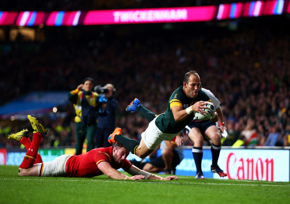 Springboks tweet media