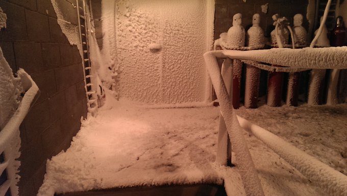 View image on Twitter