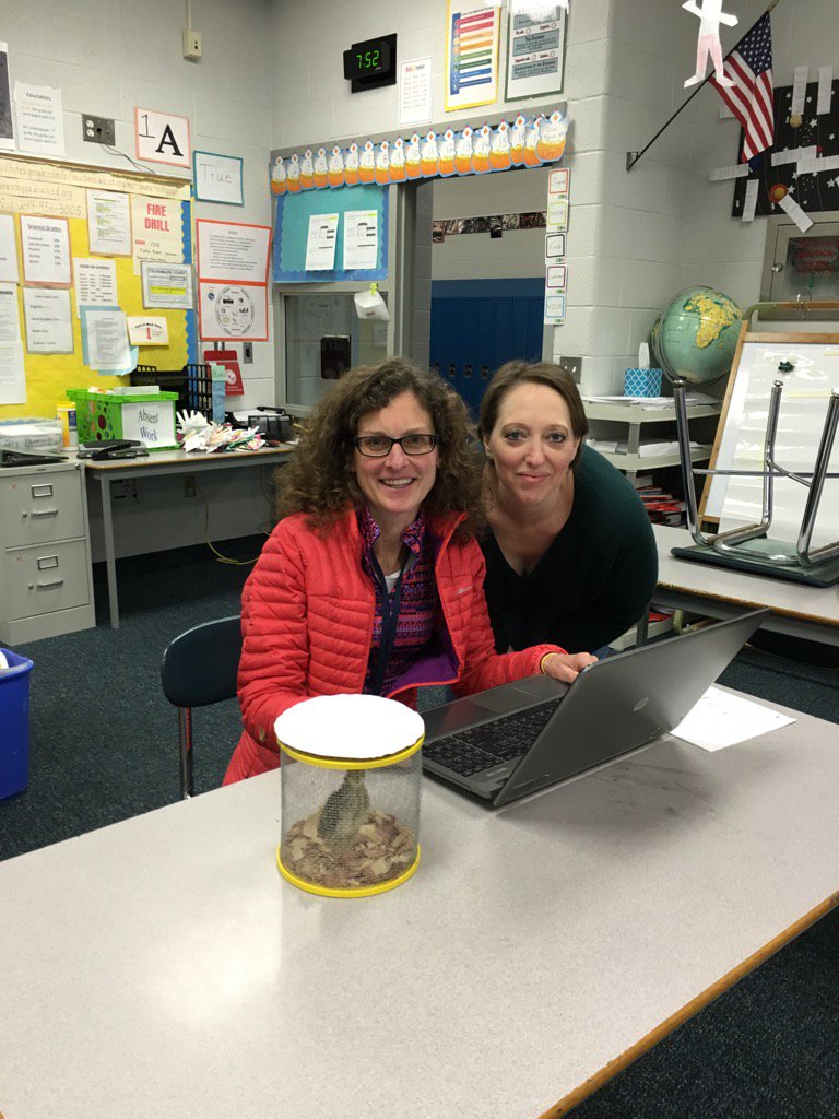 ABStasak's tweet photo. Nothing like coding with a quail next to you @GeislerMS #wleced #squawksquawk https://t.co/yGeY2tpYmg