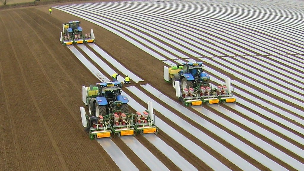 samcosystem's tweet photo. Busy getting the corn drilled π½π½π½#samcopower https://t.co/QduDlHQeVc
