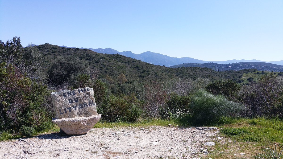 CharlesFinidori's tweet image. U #veranu face i sò primi passi. Ghj'hé venuta l'ora di ripiglia i chjassi. #sole#mare#monti#natura#corsica